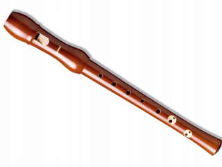 Fleet proste Hohner B9550